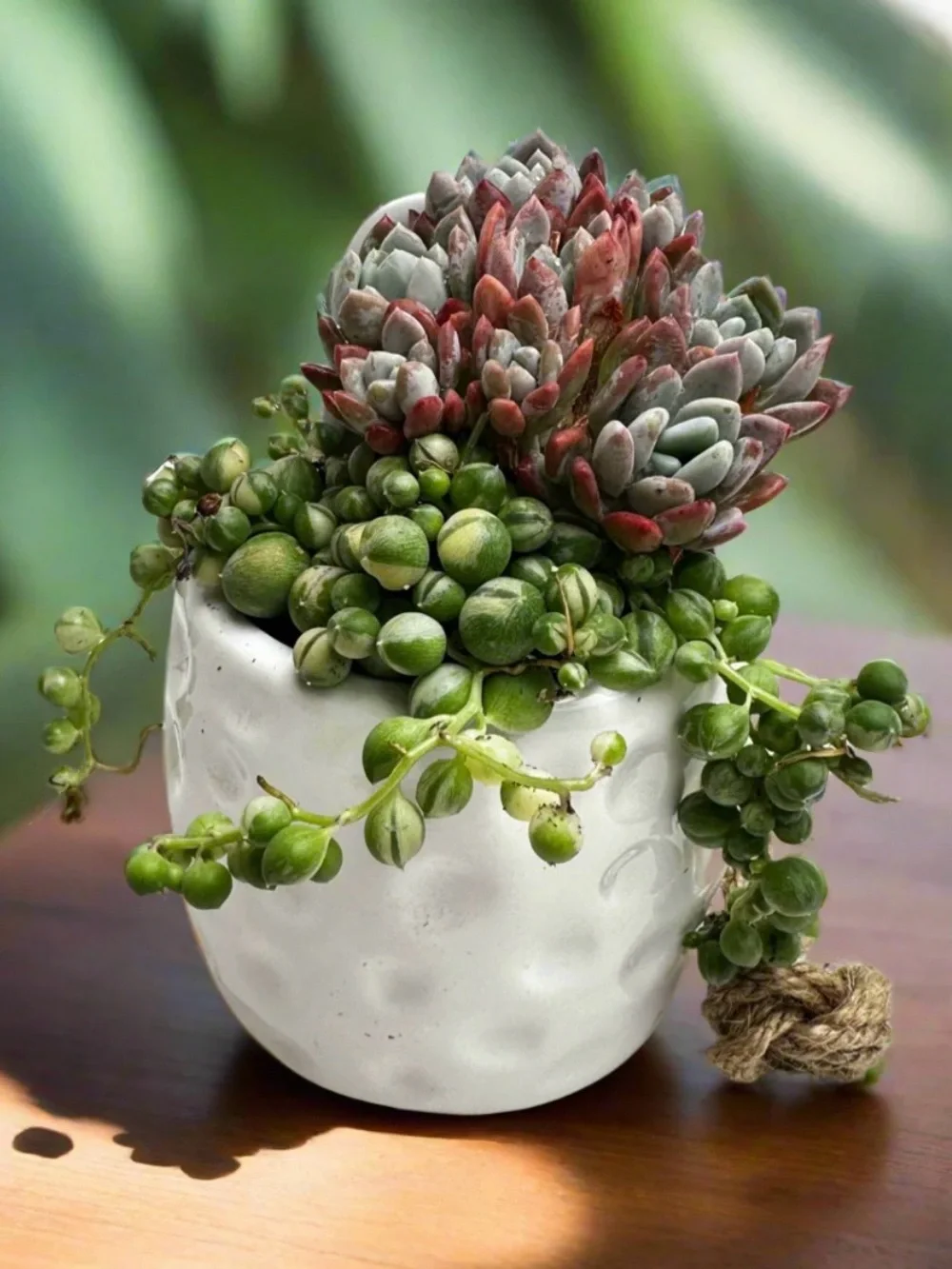 Japandi Ceramic Hanging Planter Vase Pot Holder with Rope #0530261